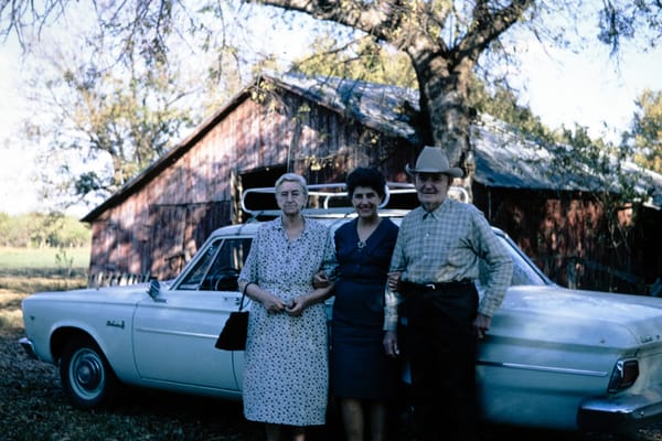 Featured photo of Alice Persyn